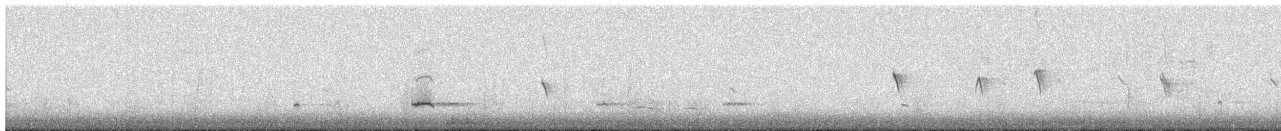 krikkand - ML651475658