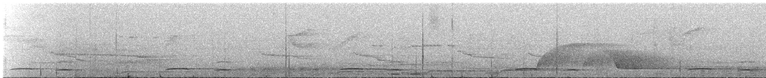 Тиран-плоскодзьоб малий - ML65148201