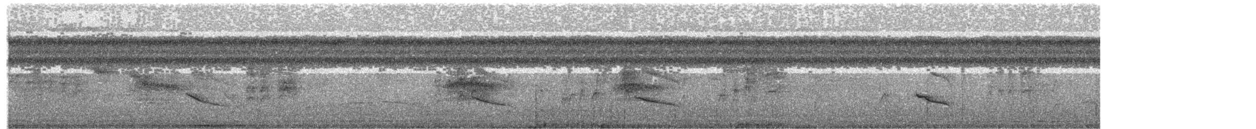 White-flanked Antwren - ML651484625