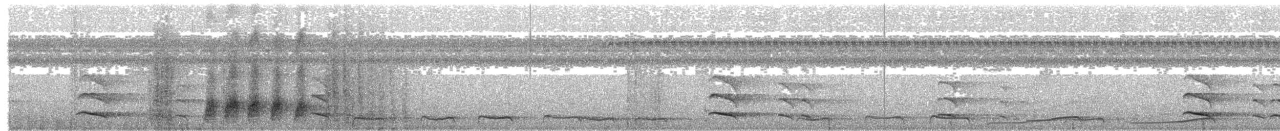 Purple-throated Fruitcrow - ML651485433