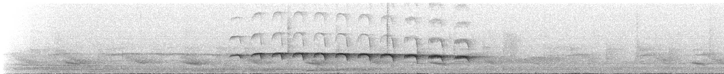 Schmalbrauen-Ameisenschnäpper - ML65149161