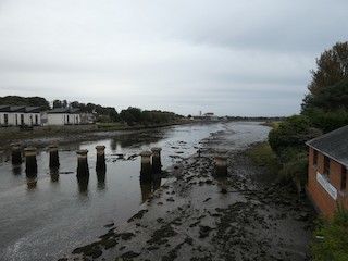 eden-estuary-centre-fife-scotland-united-kingdom-ebird-hotspot