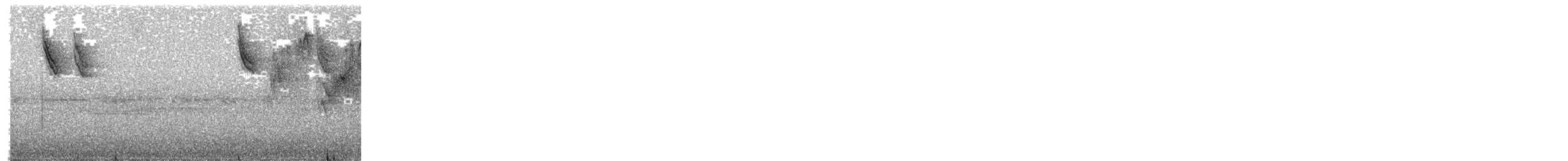 Blue Dacnis - ML651511910