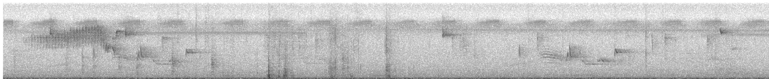 Northern Parula - ML651521139