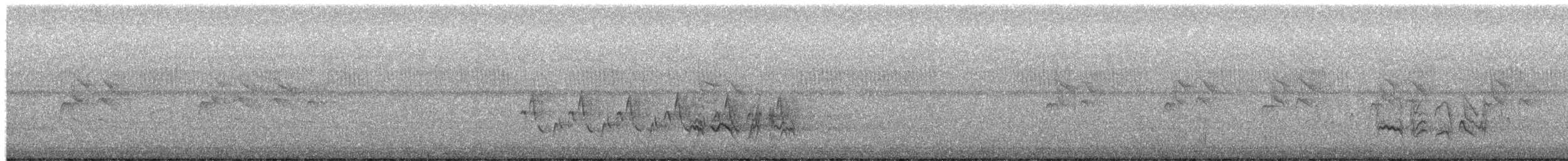 Brown-headed Nuthatch - ML651522168