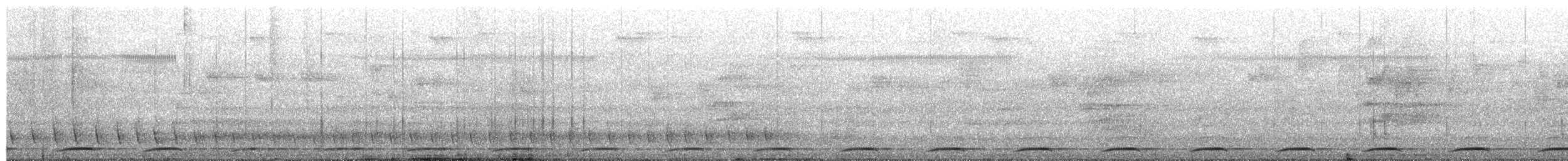 Wonga Pigeon - ML651525901