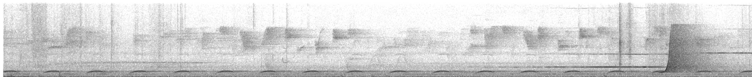 Wonga Pigeon - ML651525919