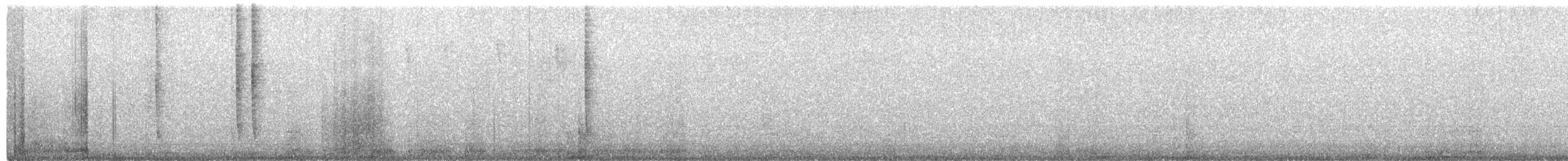 hummingbird sp. - ML651528895