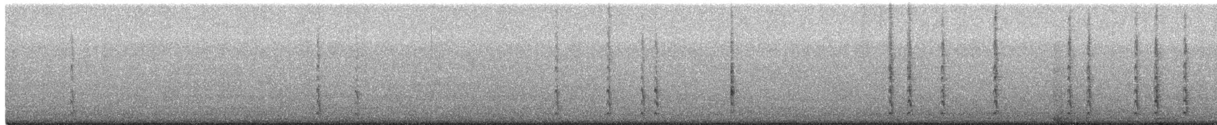 Brewer's Blackbird - ML651529195