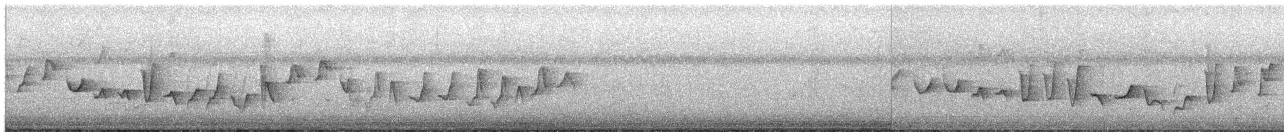 vrabec bělobrvý - ML651536161