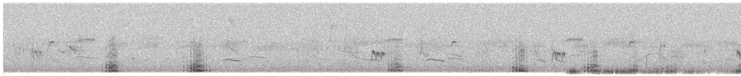 Blue Crane - ML651543727