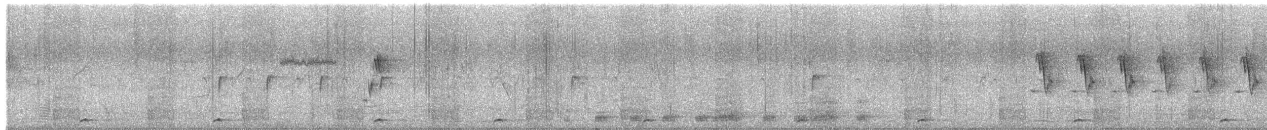 barbet zvučnohlasý - ML651556130