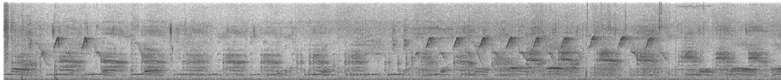 chřástal běloprsý - ML651556229