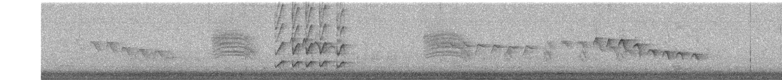 Tropical Gnatcatcher - ML651558298