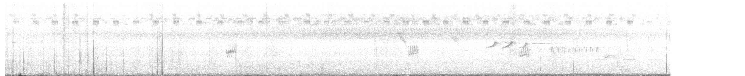 アメリカウズラシギ - ML65156271
