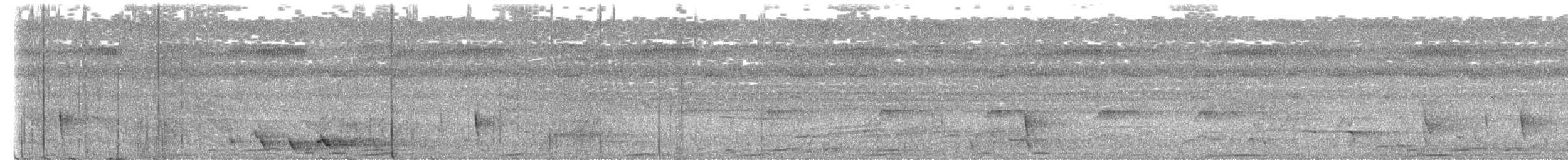 medosavka ostrohlasá - ML651578211