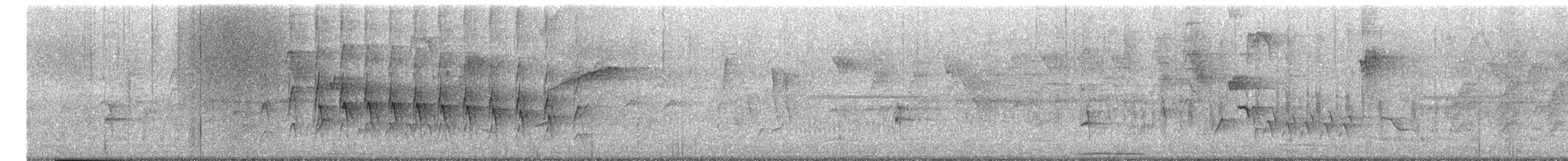 Plain Thornbird - ML651580907