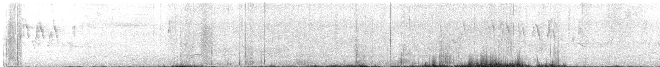 passerine sp.