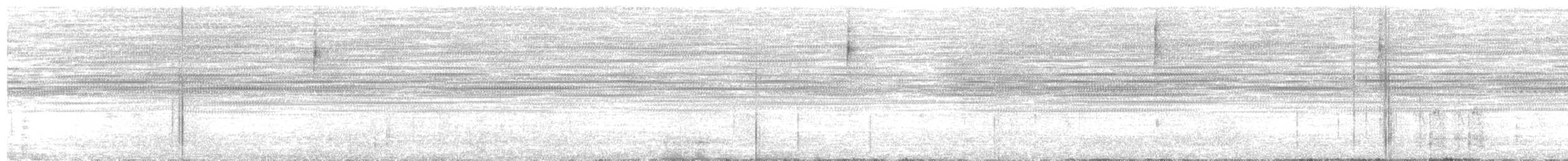 Оливковая курутия - ML651594679