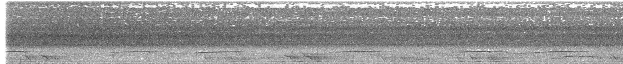 kukačka hnědobřichá - ML651597997