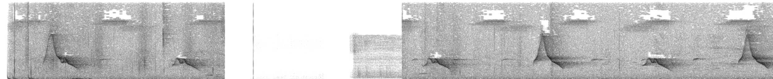 Black-winged Monarch - ML651598001