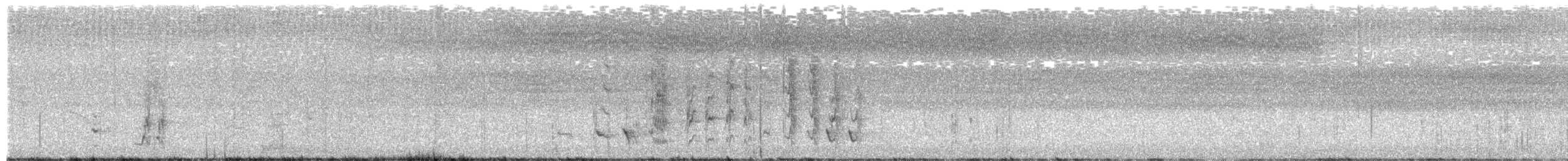 medosavka bělopruhá - ML651598377