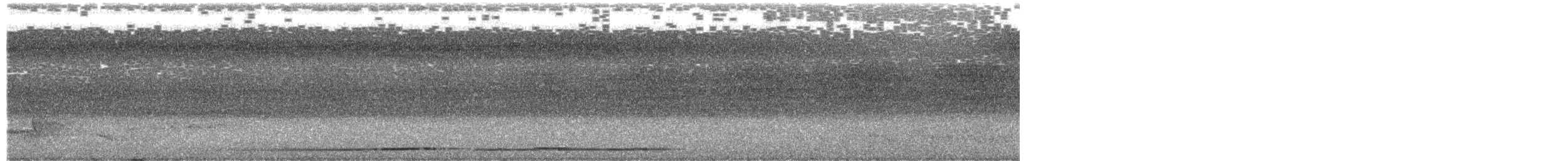 pita papuánská - ML651598446