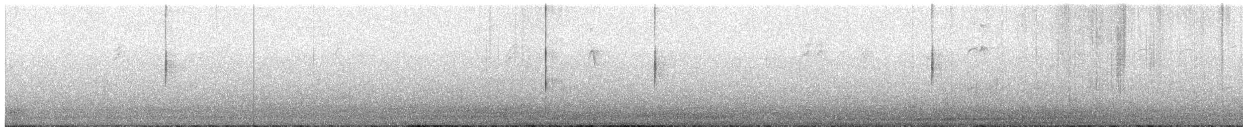 MacGillivray's Warbler - ML651599428