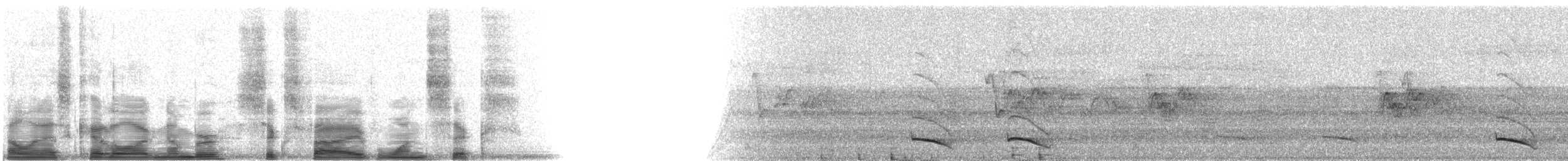 Blue-crowned Trogon - ML6516