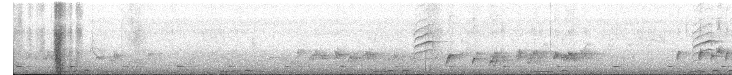 ウツクシオナガタイヨウチョウ - ML651608337