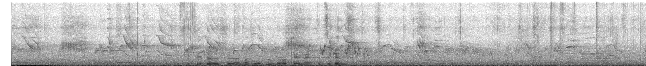 ホンセイインコ - ML651608475