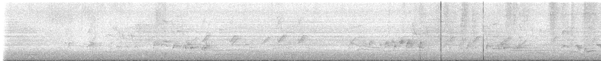 ワライバト - ML651608621