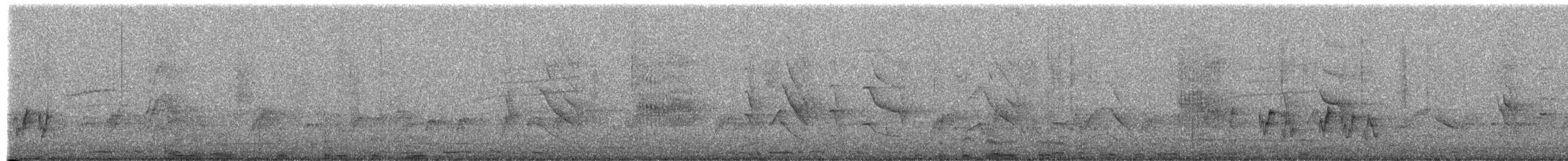 ホンセイインコ - ML651608652