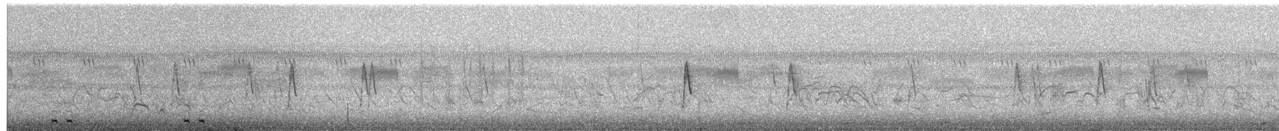 Black Coucal - ML651609923