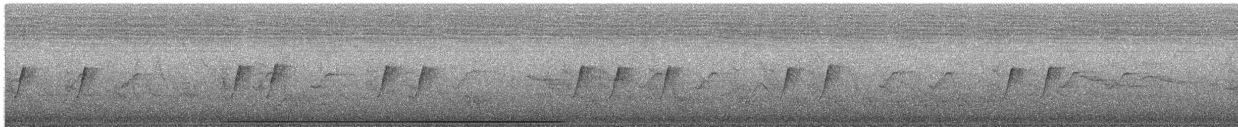 Polluela Elegante - ML651611299