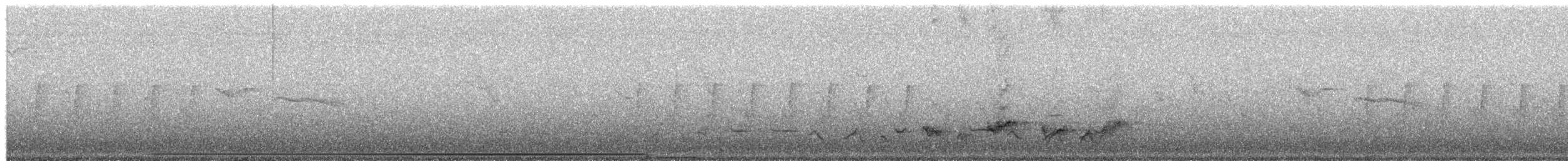 Polluela Elegante - ML651611306