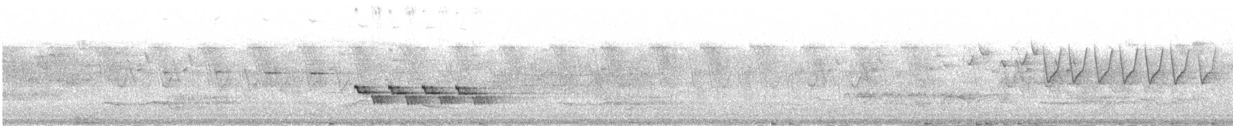 Siberian Blue Robin - ML651620551