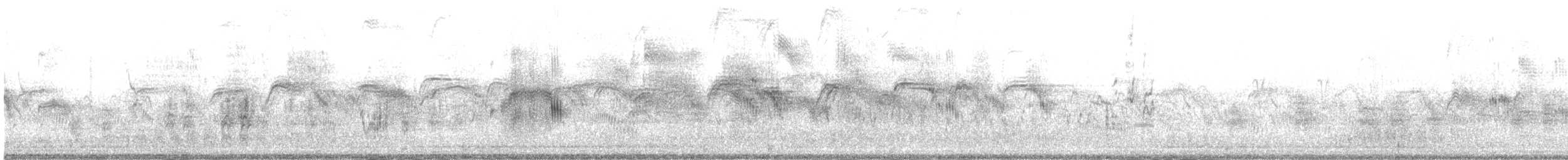 Серпокрилець чорний - ML651620767