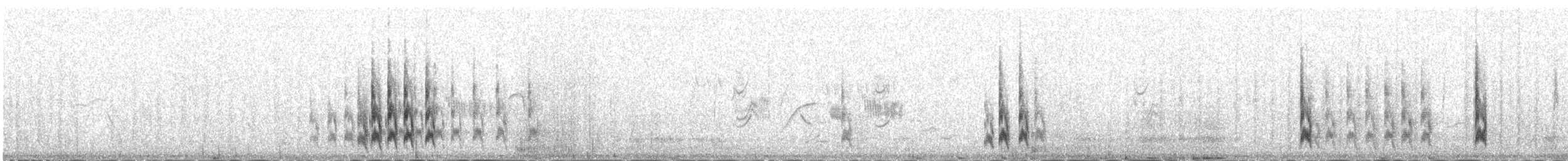 White-backed Thrush - ML651621128