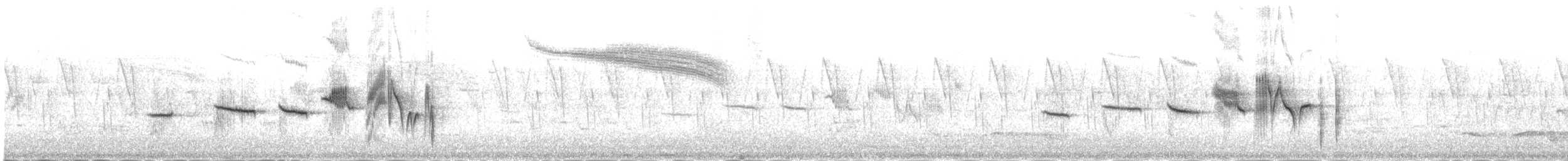 White-bellied Redstart - ML651621329