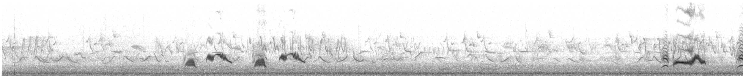 White-backed Thrush - ML651621417