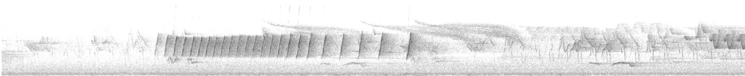 Chinese Leaf Warbler - ML651621612