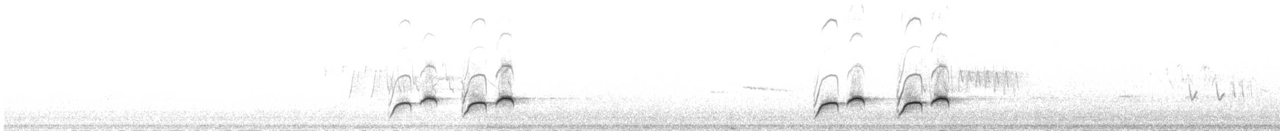 White-backed Thrush - ML651621745