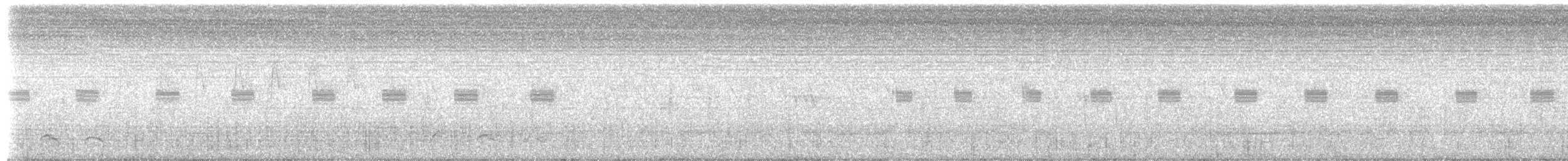 Black Coucal - ML651629913