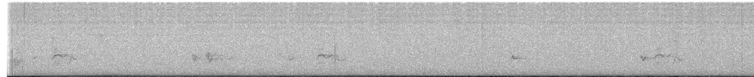 purpurfink (purpureus) - ML651632374