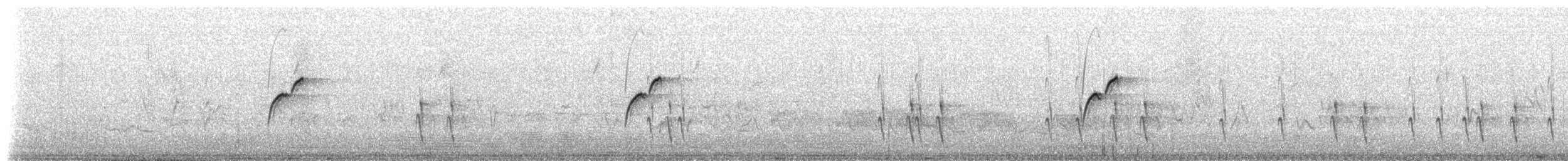 Batı Amerika Sinekkapanı (occidentalis/hellmayri) - ML65164011