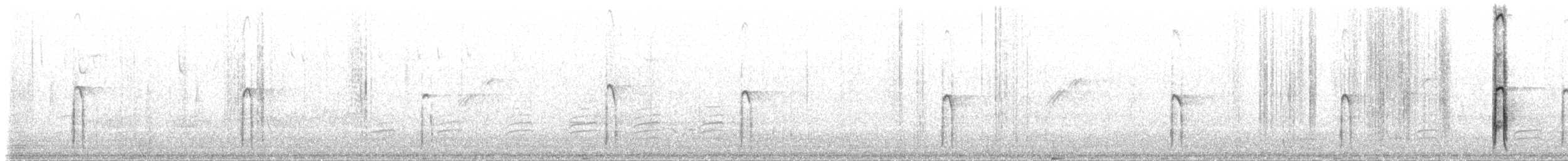 strakapoud americký (ssp. orius/icastus) - ML65164681