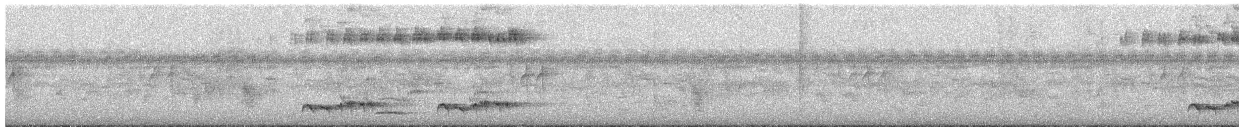 Bouscarle de Swinhoe - ML651655140