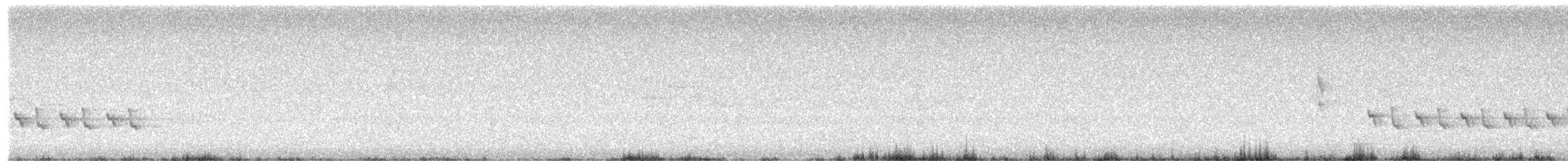 Weißschwanzschnäpper - ML651662654