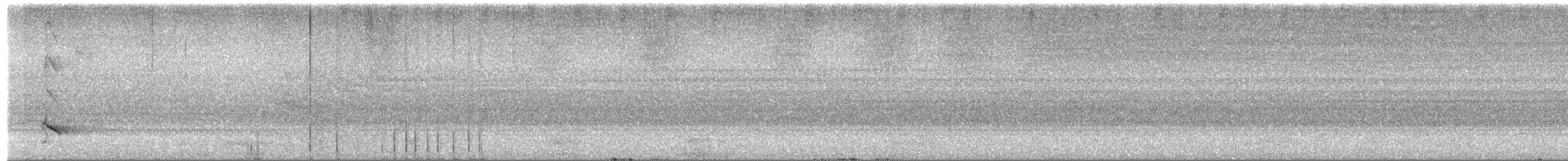 Papuaweih - ML651668047